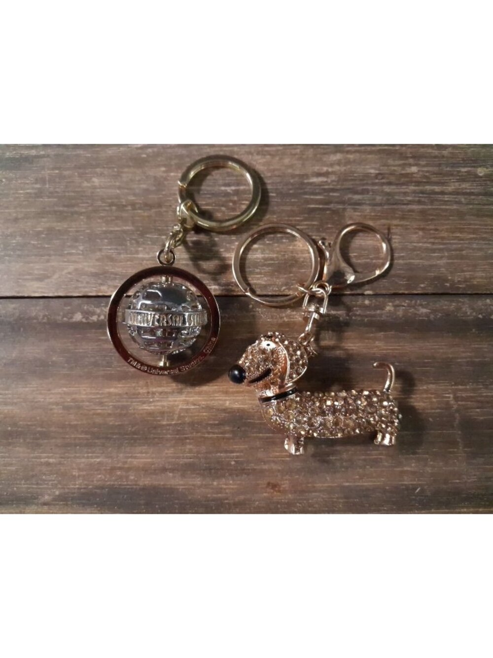 Universal Studios Keychain Lot Life Pets Buddy Dachshund Movie Globe Bag Tag